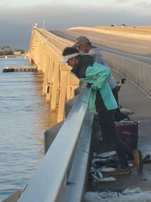 20201023_072009[1].jpg