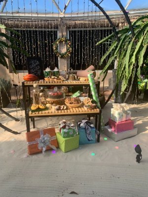 IMG_7304 (1).JPEG