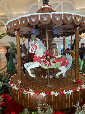 IMG_7326 (1).JPEG