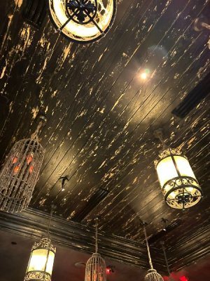 IMG_6690.JPEG