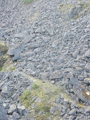 20230905_142554[1].jpg