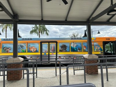 IMG_6705.JPEG