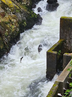 20230907_122740[1].jpg
