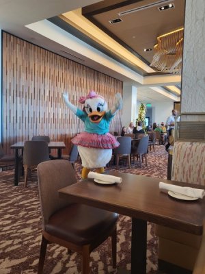 Breakfast Daisy 2.jpg