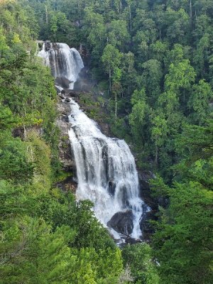20200809_074136[1].jpg