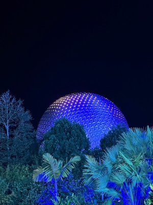 IMG_0215.jpeg
