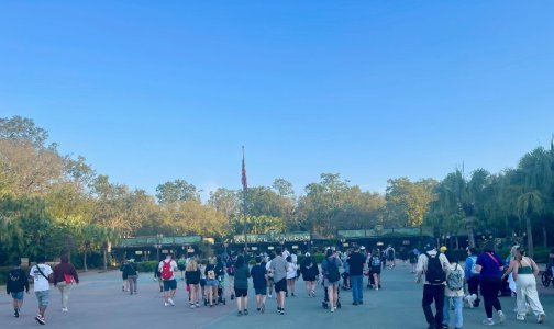 IMG_2423 (1).jpeg