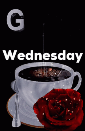IMG_5282.gif