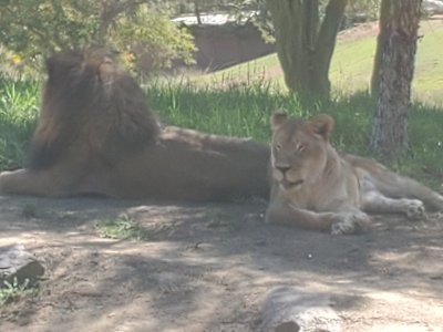 20191005_114600[1].jpg