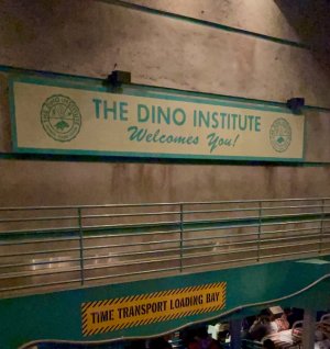 IMG_2497.jpeg