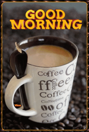 IMG_5292.gif