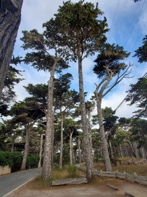 20190926_084415[1].jpg