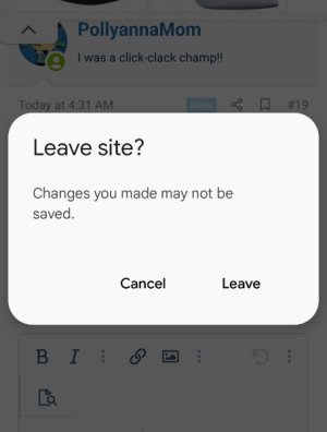 Screenshot_20250411_103300_Chrome.jpg