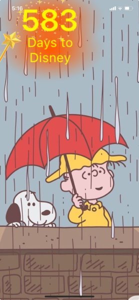 SNOOPY & LINUS RAIN.jpeg