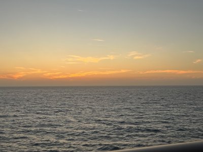 IMG_3977.jpeg