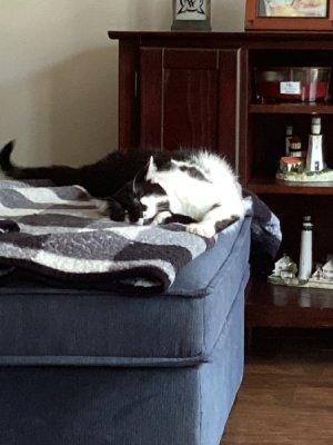 IMG_7834.jpeg