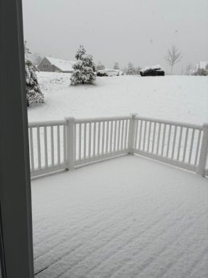 Snow 04.12.25.jpg