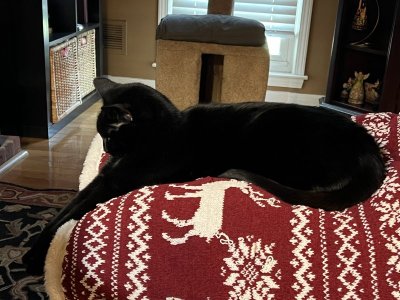 IMG_2672.jpeg