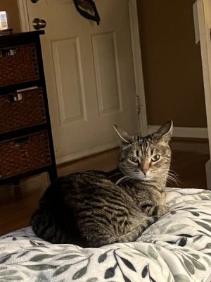 IMG_2406.jpeg