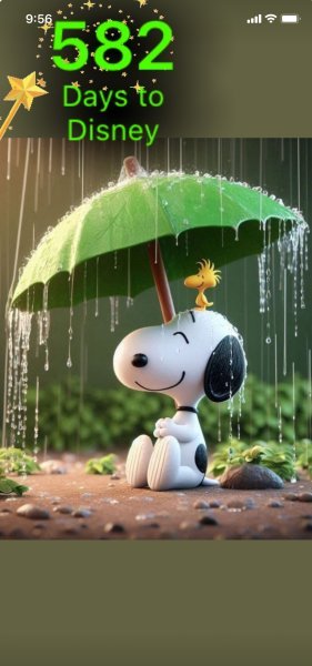 SW UMBRELLA SHOWER.jpeg