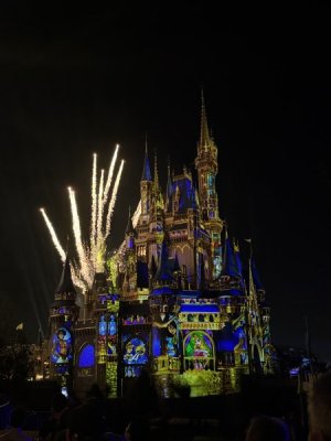 IMG_0113.jpeg