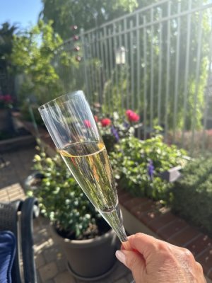 IMG_0400.jpeg