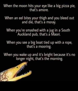 IMG_0426.jpeg