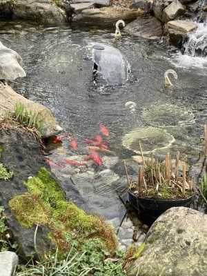 IMG_4302.jpeg
