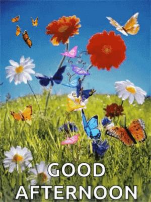 IMG_5327.gif