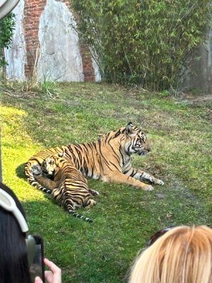 IMG_4064.jpeg