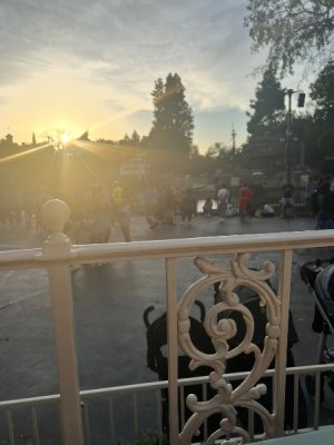 IMG_7631.jpeg