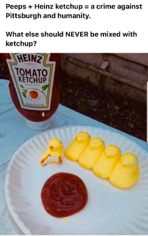 IMG_7048.jpeg
