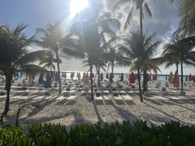 IMG_1560.jpeg
