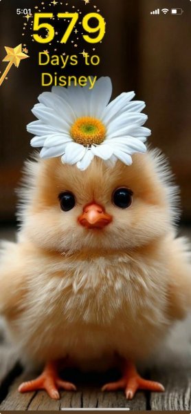EASTER CHICK.jpeg