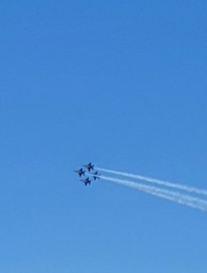 20250416_103912.jpg