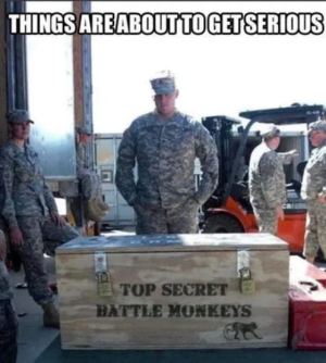 serious.png