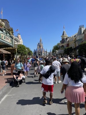 IMG_0724.jpeg