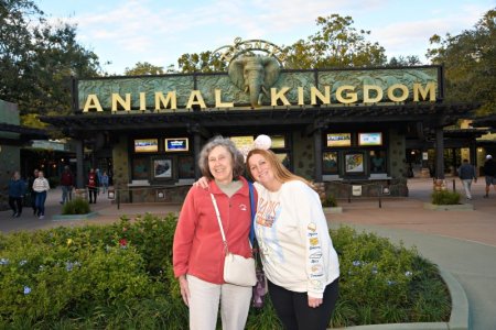 2025-01-24 - Disneys Animal Kingdom Park - The oasis_19.jpeg