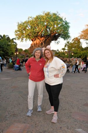 2025-01-24 - Disneys Animal Kingdom Park - The tree of life_17.jpeg