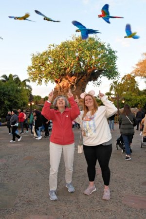 2025-01-24 - Disneys Animal Kingdom Park - The tree of life_2.jpeg