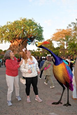 2025-01-24 - Disneys Animal Kingdom Park - The tree of life.jpeg
