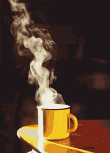 IMG_5353.gif