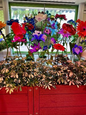 IMG_2025-04-19-120419.jpg