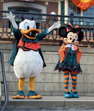 IMG_2311.jpeg