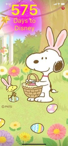 SW EASTER BASKET TREATS.jpeg