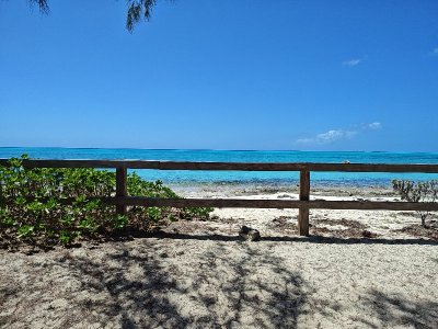 IMG_20250404_140715597.jpg