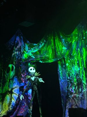IMG_6812.JPEG