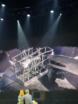 IMG_6817.JPEG