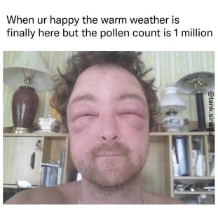 492722153_1230607982405397_5912933134861825424_n.jpg