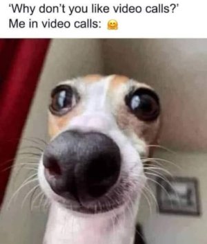 463454032_1071721258294071_7305345997265447398_n.jpg
